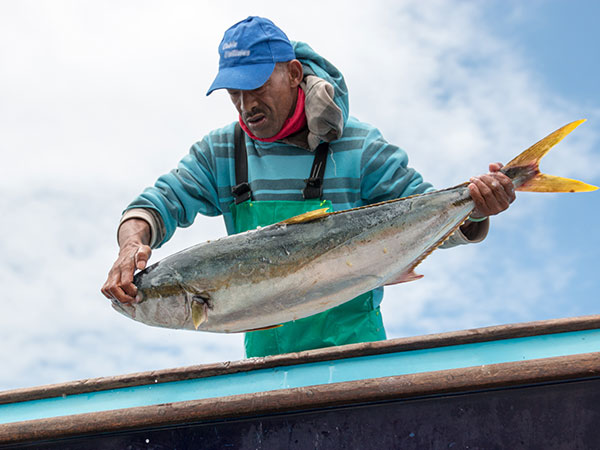 Nachhaltige Projekte in Entwicklungsländern: Abalobi, Suedafrika - Kleinfischer mit grossem Fisch