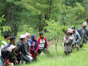 MITO - favourable climate for nut cultivation