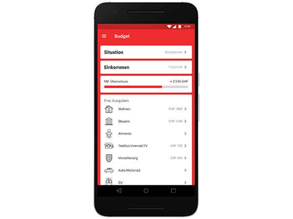 Record income and expenses at any time with the BudgetCH app