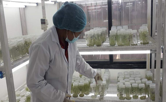 Die Happel Foundation unterstützt das Projekt InELAM der Helvetas. Kleinunternehmen sichern Einkommen und schaffen Arbeitsplätze im eigenen Land Nepal.