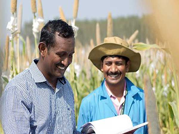 HarvestPlus trains farmers on variety selection, growing methods and more.