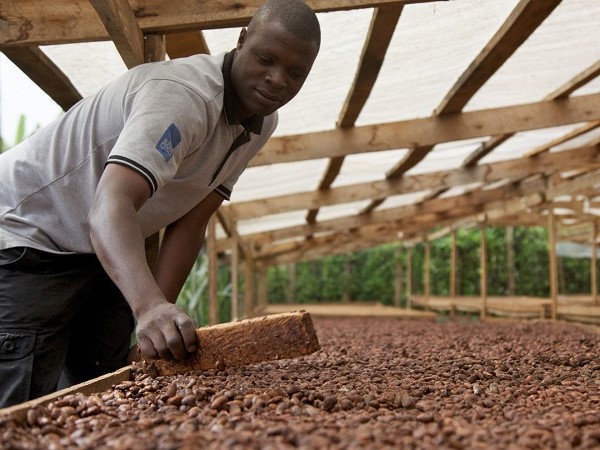 Small farmers in Uganda during cultivation